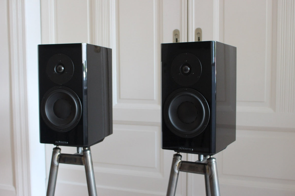 Dynaudio Focus 20 XD (gebraucht)