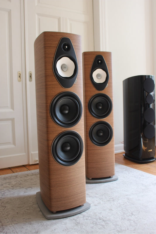 Sonus Faber Sonetto VIII G2 in Walnuss (gebraucht)