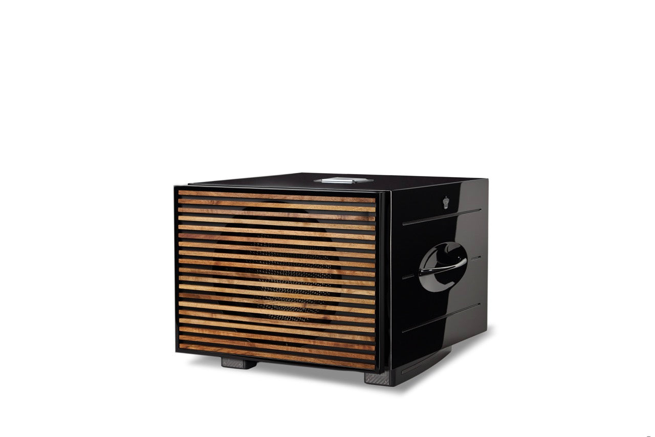 REL Carbon Special Black Label Subwoofer (NEU)