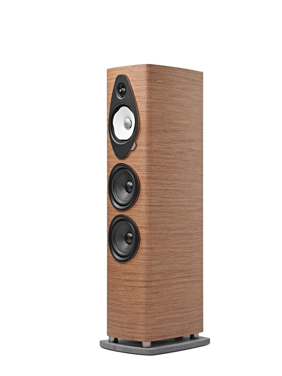 Sonus Faber Sonetto V G2 (NEU)