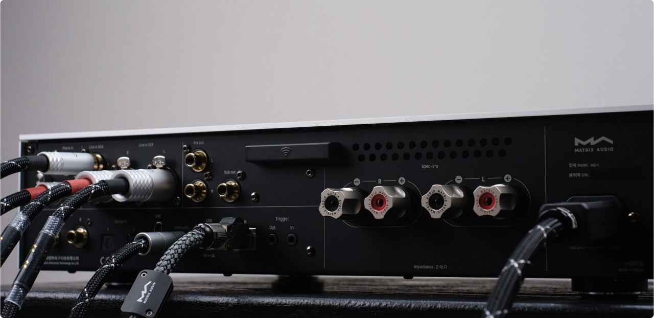 Matrix Audio MD-1 (NEU)