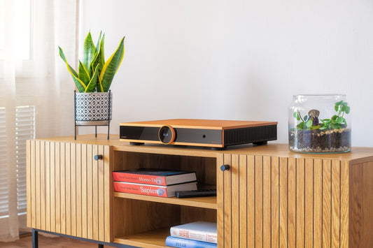 Canor Virtus I4S Integrated Amp (NEU)