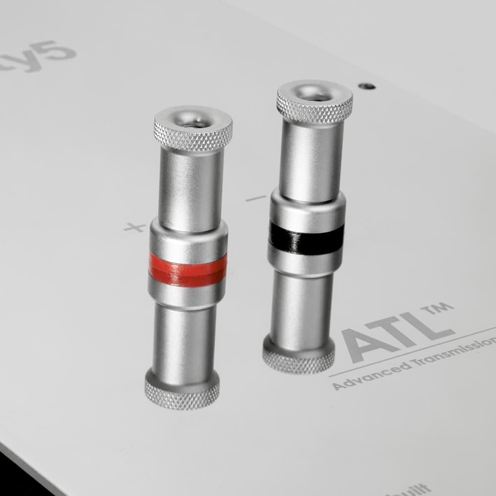 PMC twenty5.21 in Amarone (gebraucht)