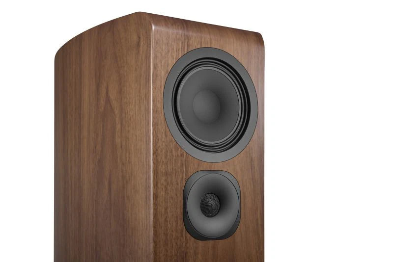 Canton Vento 101 (NEU)