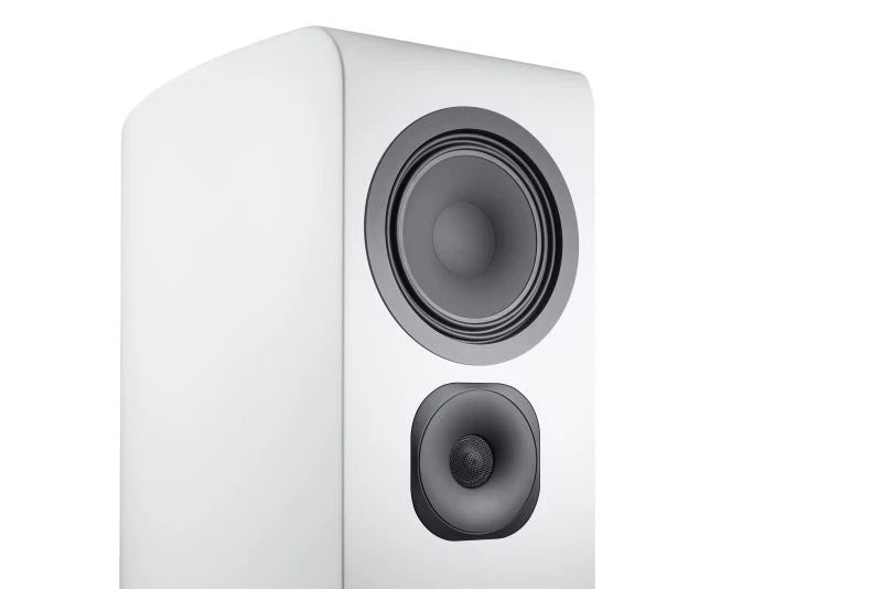 Canton Vento 101 (NEU)
