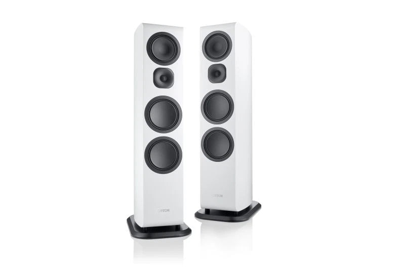 Canton Vento 101 (NEU)
