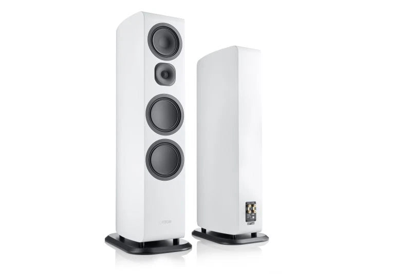 Canton Vento 101 (NEU)
