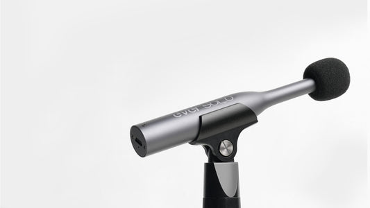EverSolo EM-01 (NEU)