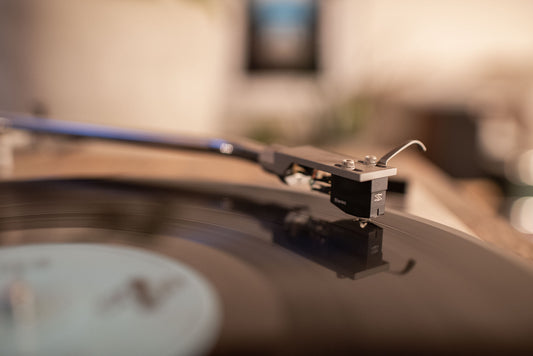 Skyanalog P-1M (NEU)
