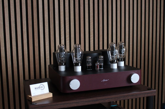 FEZZ Audio Evolution Lybra 300B (aus Demo)