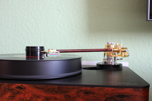 Dr. Feickert Analogue Woodpecker 2 mit Reed 3P in 12" (gebraucht)
